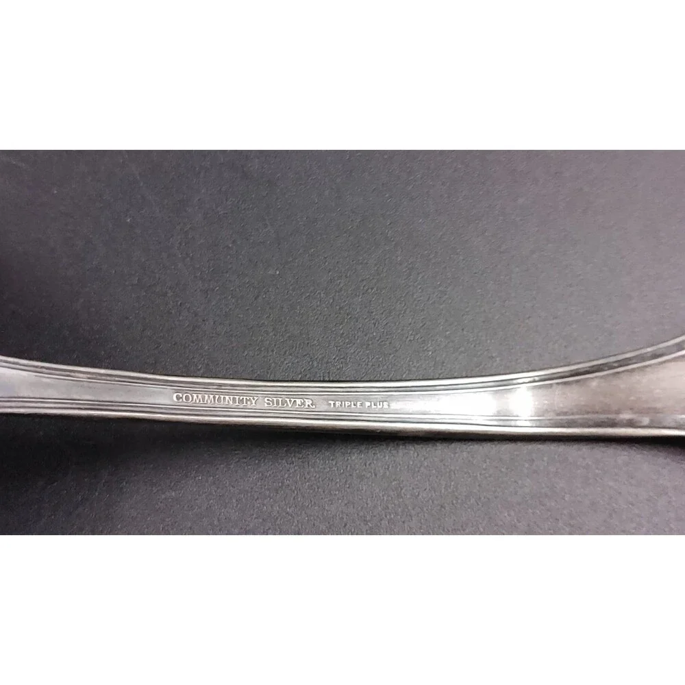 Vintage Community Avalon Silver plate Gravy Ladle Sauce Serve Utensil Silverware